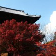 京都 観光 おすすめ 紅葉 コース
